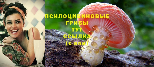 каннабис Баксан