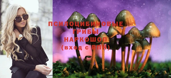 apvp Балахна