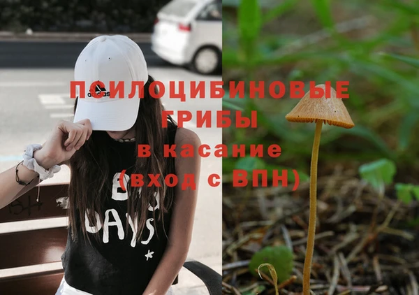 apvp Балахна